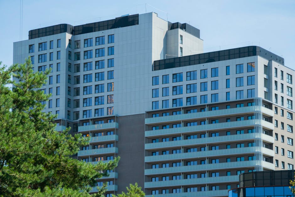 Курсы программирования и UI/UX дизайна